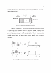 www.speros.lt